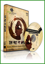 art-of-mushin